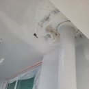 동성그린아파트 | 대전 탄성코트 둔산동 국화 동성아파트 베란다 오염 곰팡이제거 결로방지 페인트 시공 후기