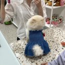 왜냐하면 당신은 완전히 멍청이는 아니니까 ! :)