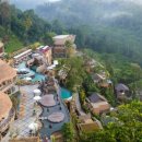 호텔정글(jungle) 이미지