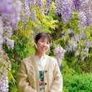 행복나무카페 이미지