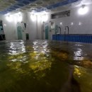 24시남성사우나 이미지