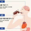 카페인 , 하루 카페인 권장량 (심장) 이미지