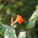 호생농장 이미지