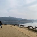 우영목장 | 2024. 3 (3) 양평드라이브 / 가평 양떼목장 / 버드나무집 남양주