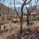 크라운 공인중개사무소 이미지