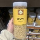 그린 월드 이미지