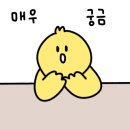 출장 세차 이미지