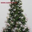 이엠한의원 이미지