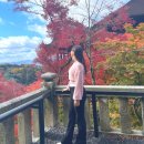 청간사 | 교토 여행 기요미즈데라 가는법 청수사 당일치기 여행후기