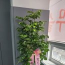 의성빌딩 이미지