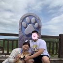 유투모텔 | 2024 댕댕 트레킹 6km 완주 후기
