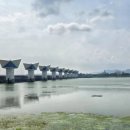 낙동강변로6-1 이미지