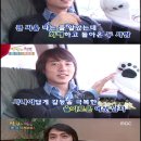 주식회사 신화 이미지