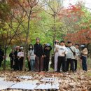 힐링포레스트 - 5277 | 힐링포레스트
