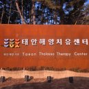 매월건강사우나 | 태안해양치유센터 방문 후기, 충남 태안 겨울철 가볼만한 곳