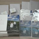 W17) 오시시 청첩장 내돈내산 후기 (드로잉 다자인, 배송 일정, 가격 공유)