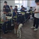 거성중학교 | 연제구 진로교육체험 - 거성중학교