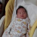 로앙쥬베베 이미지