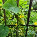 달이 머무는 집 이미지