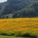 코스모스메디칼 이미지