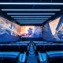 마이본1호 이미지