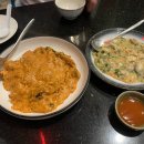 통통(Tong Tong) 티스토리