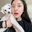 지 ·엠 ·지 이미지