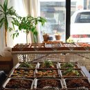 예산-55 | 마곡 기업 행사 박스케이터링 후기｜예산 맞춤 선택 가능한 담쓰도시락 인기 이유