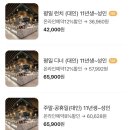 좋은뷔페 이미지