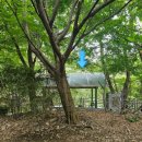 수암약수터 이미지