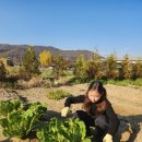 연서농장 | [양주] 2025년 서대문 주말농장 마지막날