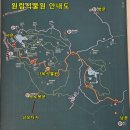 서문카 | 중국 샤먼 여행 3일차 - 원림식물원, 케이블카 후기