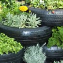 용한농장 이미지