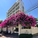 호텔코지(HOTEL COZY) | 호이안숙소 코지 새비 부티크 호텔 Cozy Savvy Boutique Hotel Hoi An