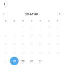 리얼버스 이미지