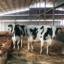 대원목장 이미지