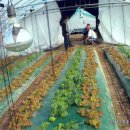 상월농장 이미지