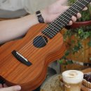 기타렐레(우쿨렐레) 이미지