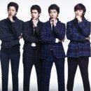 소나무파인트리(PINE TREE) 이미지