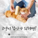 고양이집사 이미지