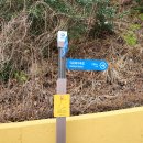 대계마을해변 이미지