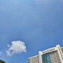비발디파크 소노벨 C 홍천 1박2일 후기 오션월드, 루지, 곤돌라, 구워주는 고기, 배떡