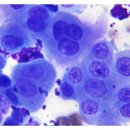 해와달동물병원 이미지