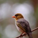 무네미로448번길 이미지