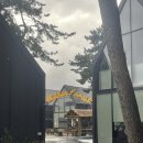 히든포레스트 | [포항 슬로우오션 앤 히든포레스트 풀빌라]히든포레스트 M1 후기