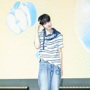 마노