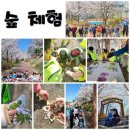 바론숲유치원 이미지