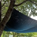 레티피코 이미지