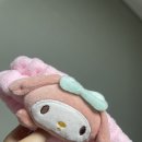 선진주 이미지