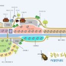 금물산하늘소캠프 이미지